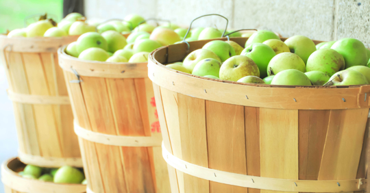 Apple A Day Keeps the Dentist Away? The Truth About Fall Fruits & Veggies